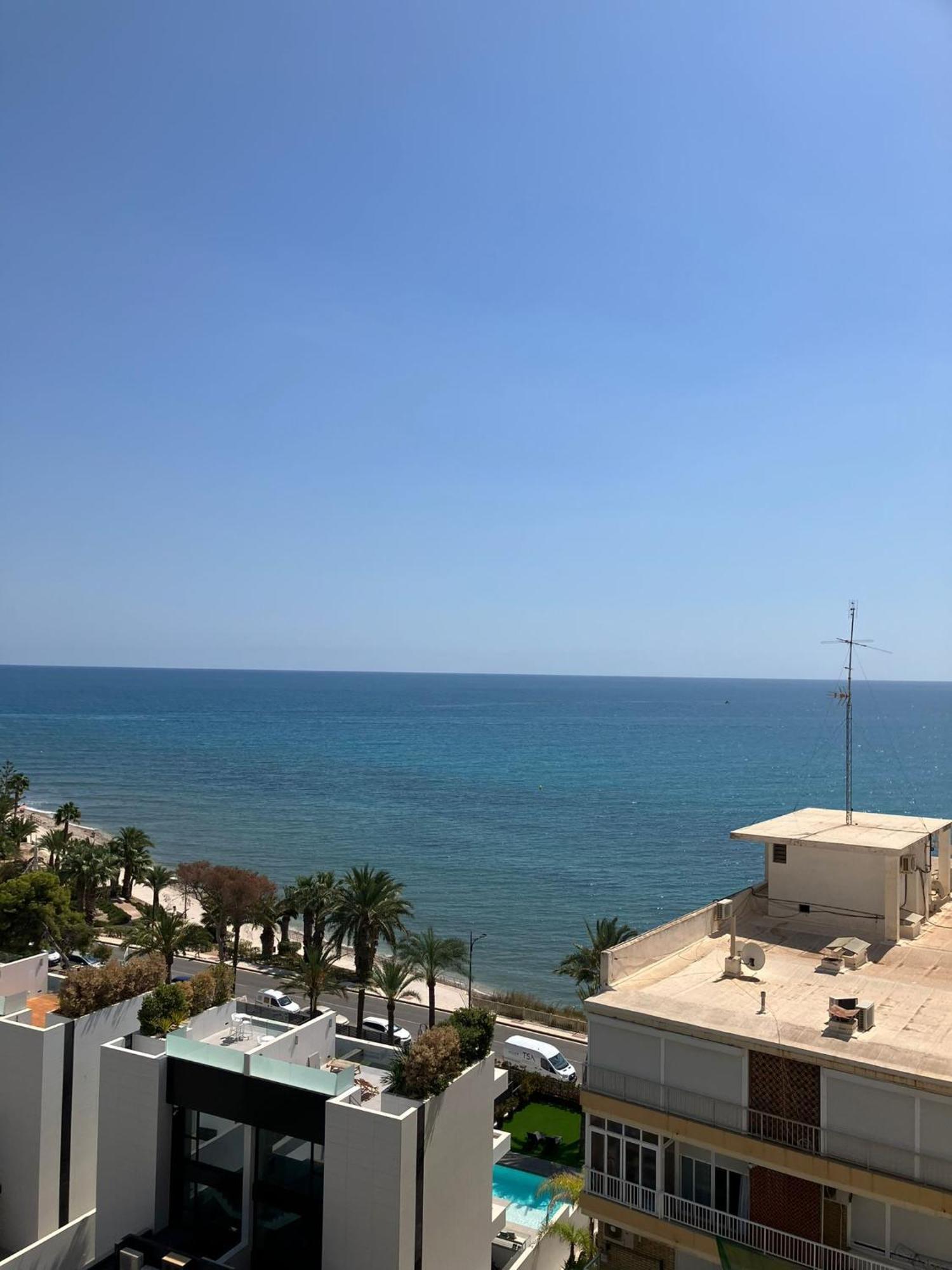 Tahiti Dreams Lejlighed El Campello Eksteriør billede